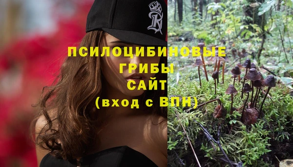 mix Богородицк